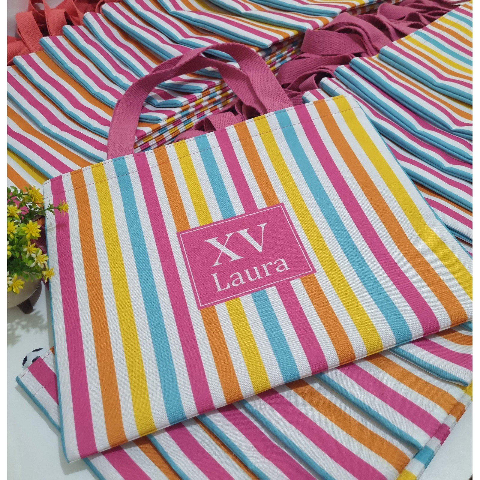 Bolsa Slim